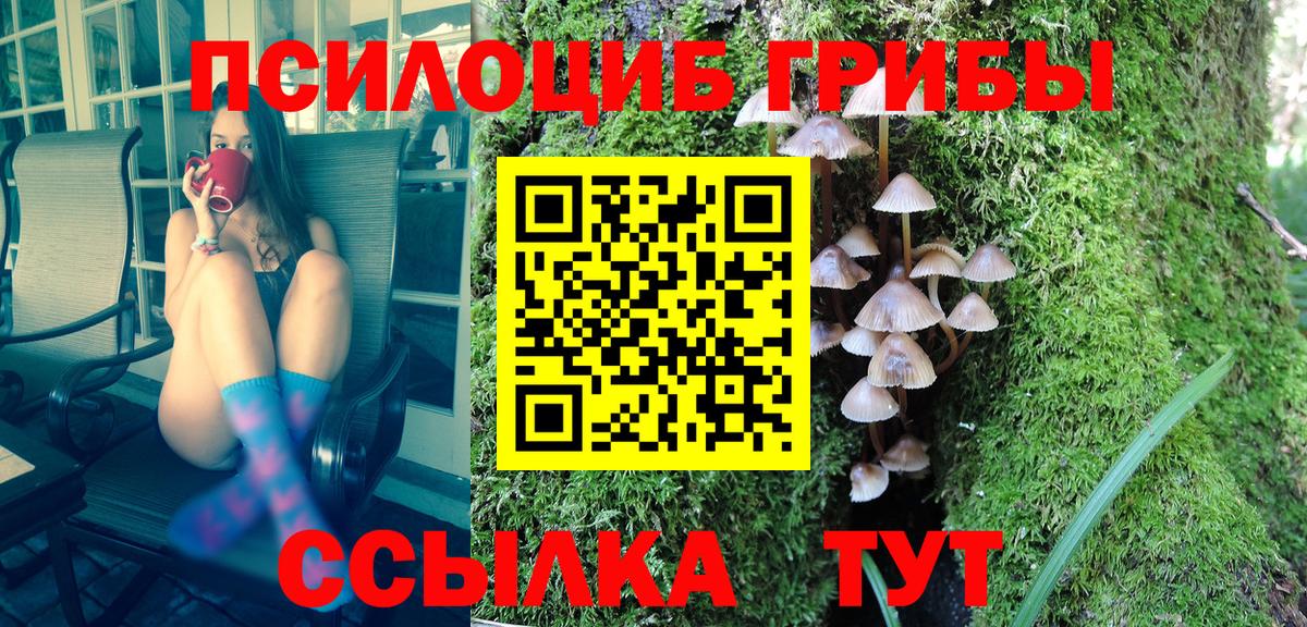 Кимовск  Галлюциногенные грибы мицелий  Галлюциногенные грибы Cubensis  продажа наркотиков  Вход с VPN 